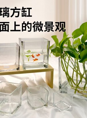 简约正方形玻璃花瓶造景植物缸