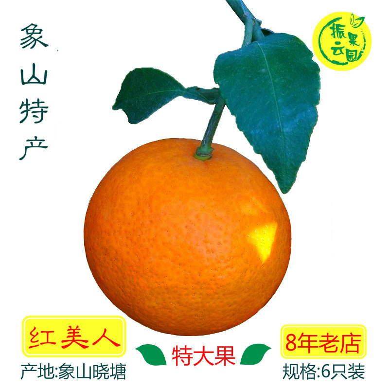 柑橘红美人象山手剥橙无籽孕妇新鲜桔子振云果园礼盒5斤6只装水果