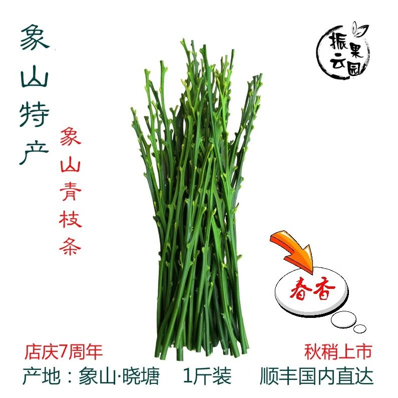 秋稍象山象山青振云果园杂桔水果