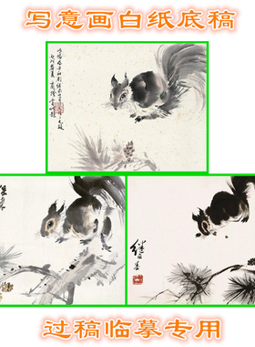 3LJL45松鼠小动物写意画白纸底稿实物国画稿临摹过稿条幅
