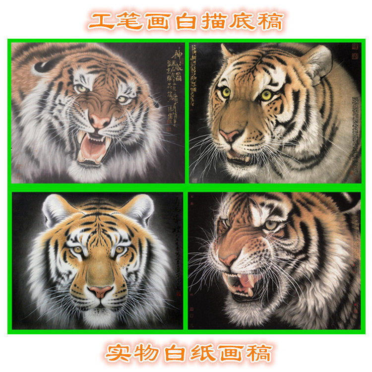3g136老虎头动物猛兽类画稿工笔画白描底稿实物打印过稿临摹横幅