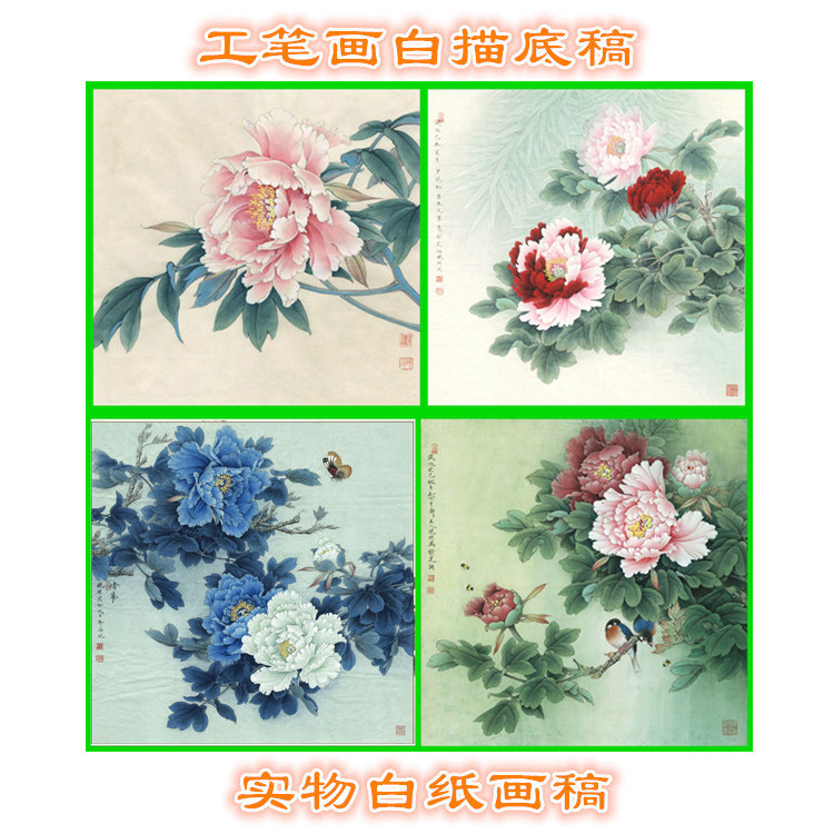 牡丹工笔画白描底稿过稿临摹专用