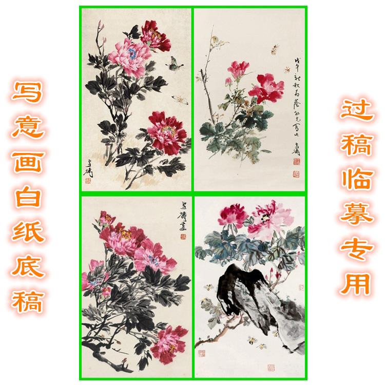 MD34花鸟图案国画牡丹写意画底稿画稿过稿临摹用条幅