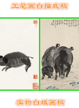 3Z42十二生肖猪写意底稿过稿临摹专用动物画稿条幅