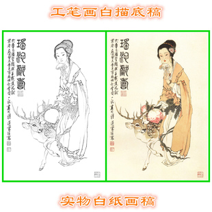 3E48写意画吉祥人物白描底稿线描画稿神仙菩萨佛像麻姑献寿条幅