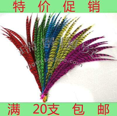 翎子羽毛瑞景国贸野鸡毛