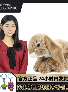 LEOSCO毛绒玩具仿真兔子玩偶公仔娃娃小白兔宝宝玩偶早教益智游戏