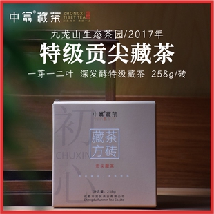 奶香初心中翕藏茶2017四川雅安黑茶南路边茶芽细周公山茶厂258g