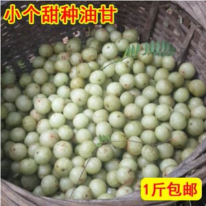 【有货】潮汕新鲜 甜油甘果野生牛甘果 余甘子油柑子青橄榄孕妇酸