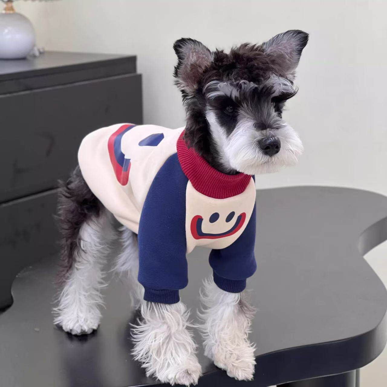 狗狗衣服秋冬小型犬宠物保暖卫衣狗宠物服装/雨衣