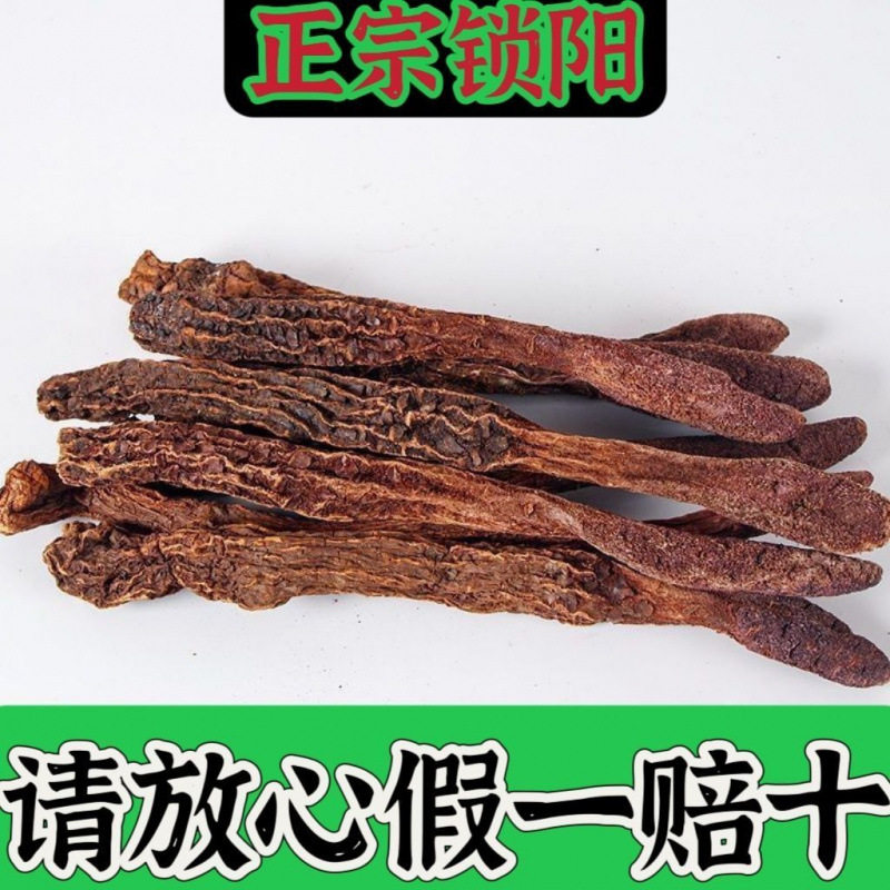 阿拉善金锁阳整根鲜切片去皮中搭配肉苁蓉玛卡泡酒料泡水打粉正宗