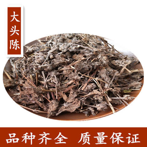 大头陈 千锤草乌头风 土夏枯草