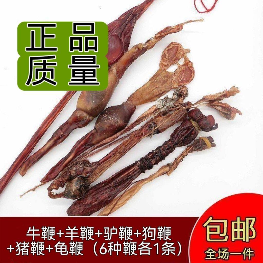 正品牛鞭 驴鞭 羊鞭 狗鞭猪鞭龟鞭泡酒全套干货泡酒料正宗泡酒