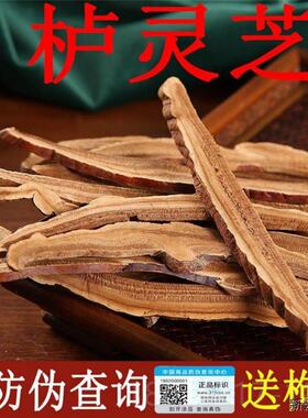 栌灵芝西藏栌灵芝【精选大片】带防伪认证下单送枣片.枸杞.随CRVH