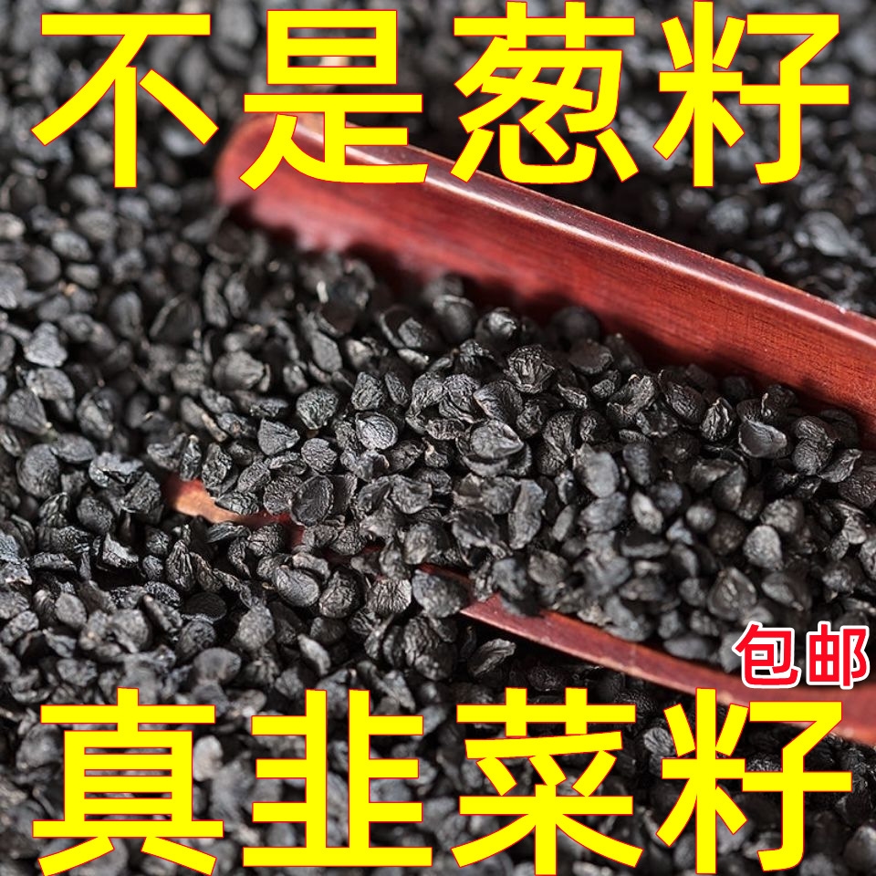 药用韭菜籽500g克包邮韭菜子中药材韭菜籽粉男性泡茶泡水韮菲菜籽