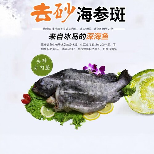 顺丰新鲜冷冻冰岛野生海参斑 去内脏海参斑鱼石斑鱼深海鱼