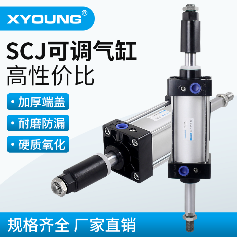 SCJ40X100-50可调标准气缸XYOUNG