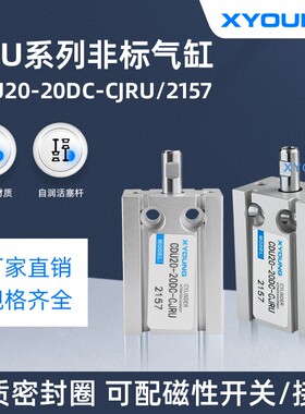 心扬XYOUNG非标自由安装气缸CDU20-20DC-CJRU-2157气动非标气缸