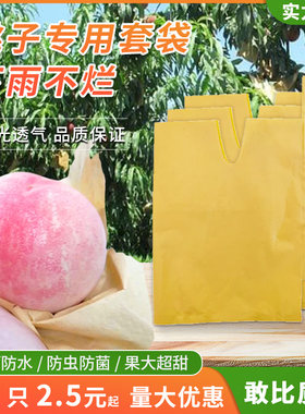 桃子枇杷葡萄水果套袋防水梨子