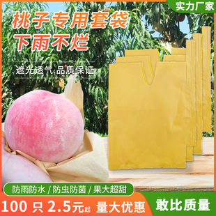 水果套袋桃子白枇杷黄桃梨葡萄水蜜桃套袋纸袋果袋防虫防鸟专用袋