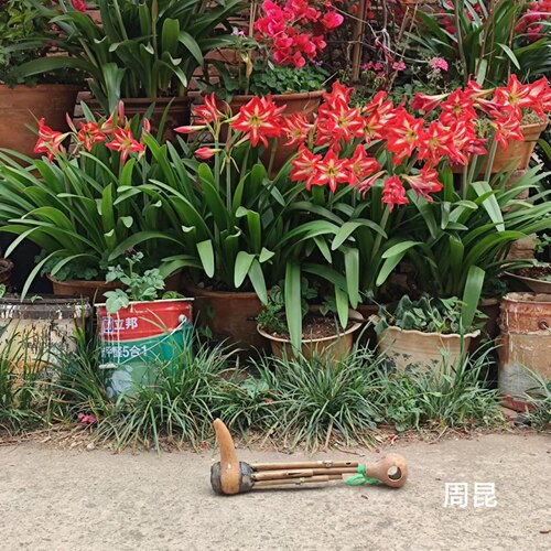 乐器老芦笙周昆竹舌手工