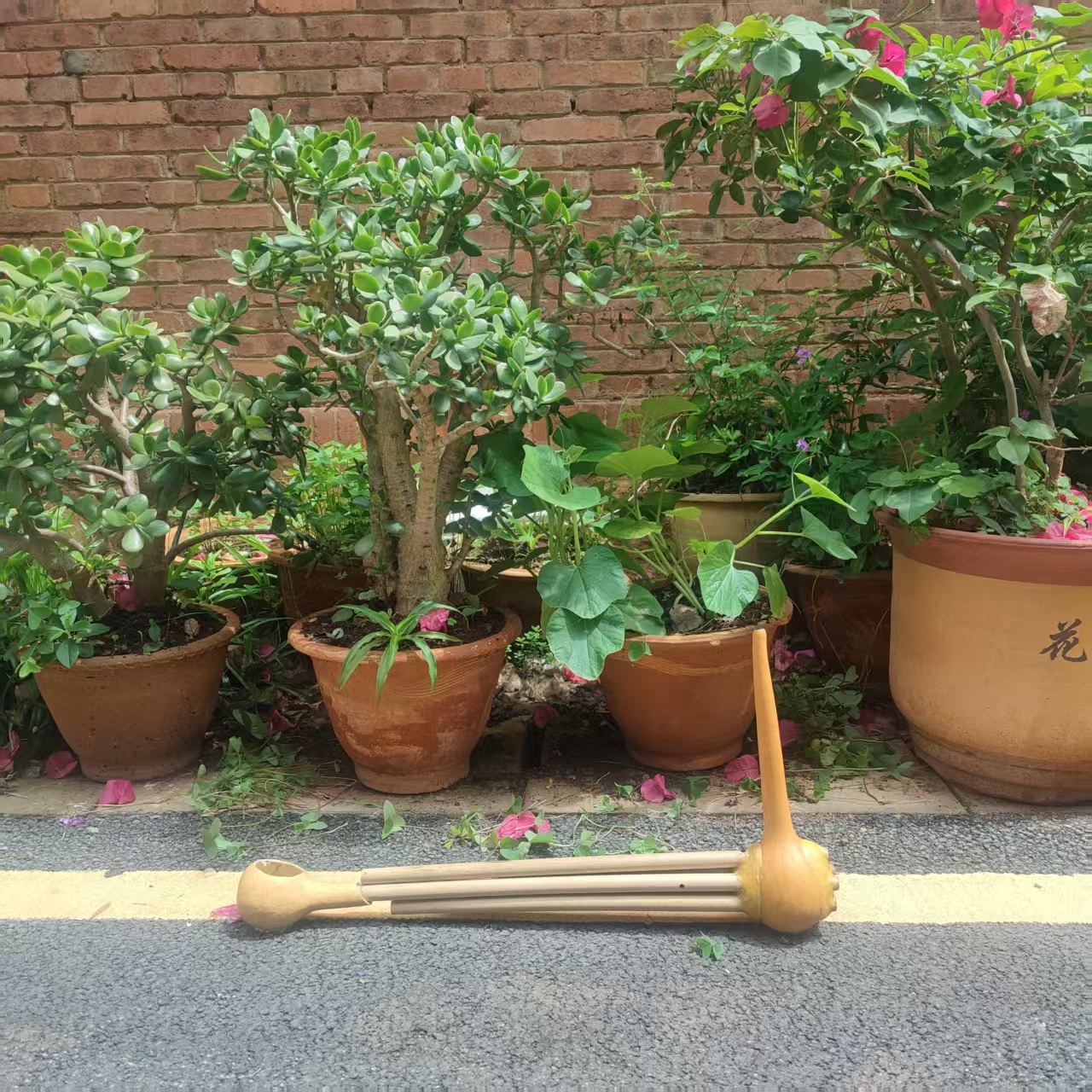 葫芦笙傈僳族五管一尺六丽江