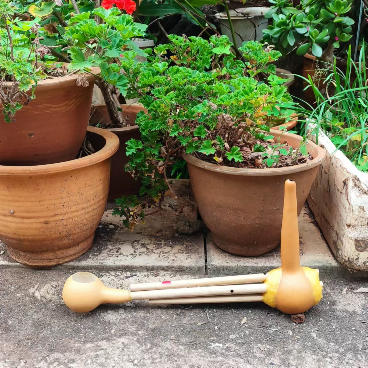 葫芦笙五管一尺三双调云南丽江