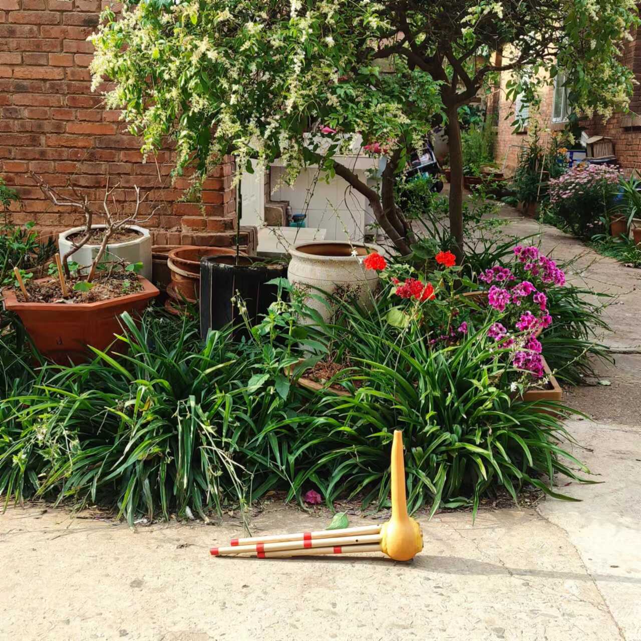 芦笙一尺四跳歌芦笙五管铜舌