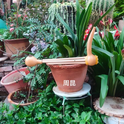 乐器丽江傈僳族铜舌五管