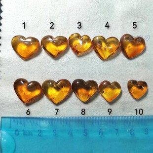 天然琥珀虫珀  GIC珠宝鉴定师学习有机宝石标本 史前微观生物