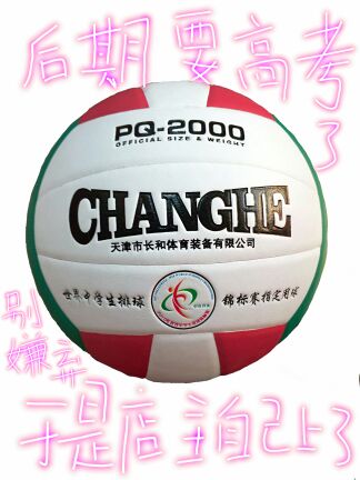 Ballon de volley-ball - Ref 2016775 Image 1