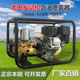 原装本田汽油打药机高压农用直连式喷药机园林养殖打农药机喷雾器
