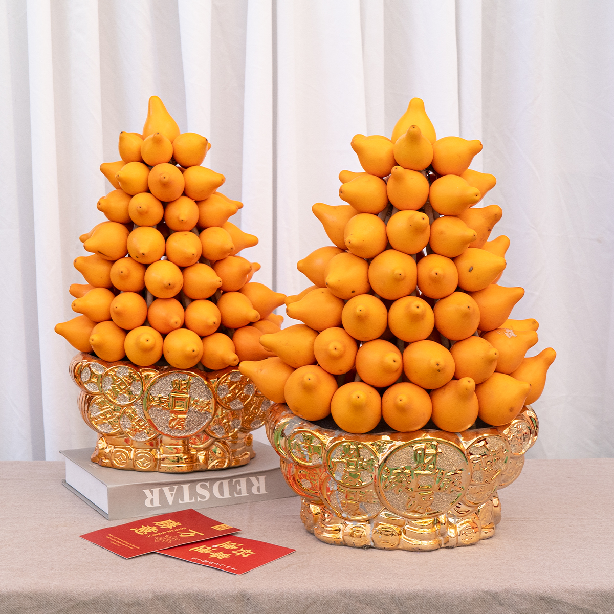 黄金果盆栽福禄果五代同堂果