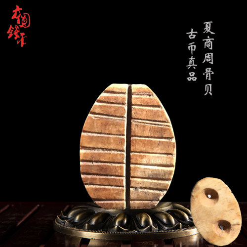 先秦古钱币骨贝美品保真