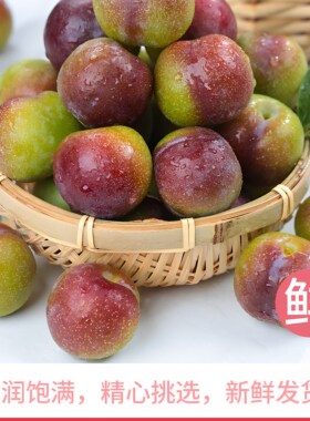 红翠李新鲜当季