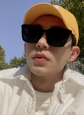 太阳镜2022新款韩版ins网红款街拍偏光防紫外线墨镜男女潮显脸小