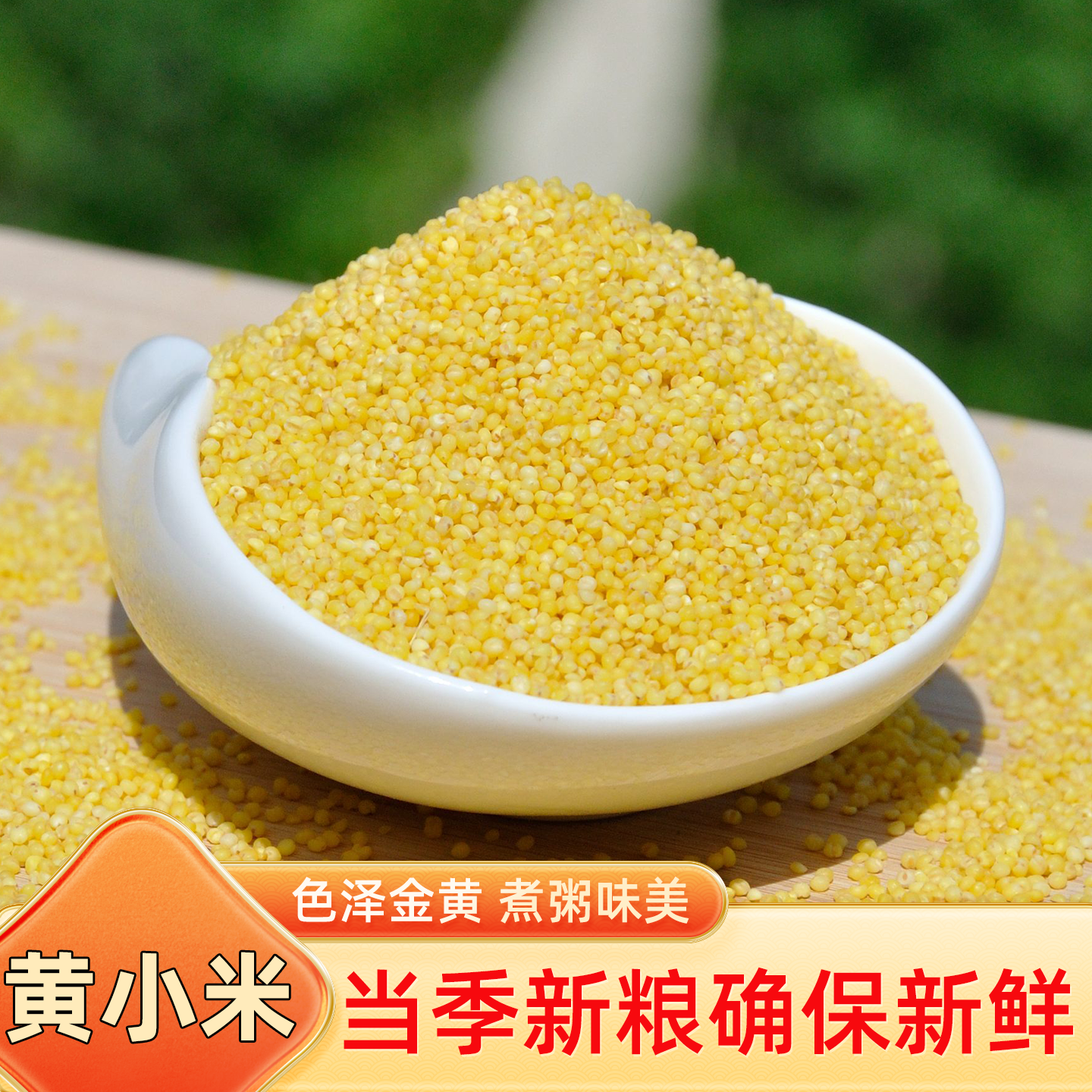 当季新货五谷杂粮熬粥黄小米新米小黄米1斤月子米宝宝米5斤包邮