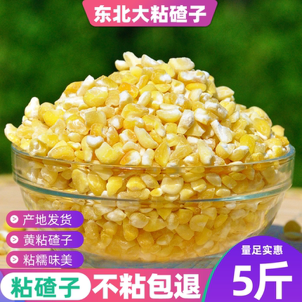 东北吉林特产玉米碴子粘玉米糁5斤大碴子粥新货糯玉米大粒玉米渣