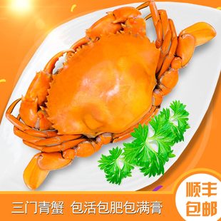 自养的正宗三门青蟹鲜活大红膏蟹母膏蟹红鲟6只装5斤海蟹顺丰包活