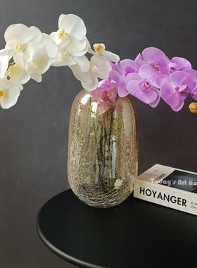 TODAYART冰裂纹玻璃花瓶复古轻奢特大号加厚透明花器客厅插花摆件