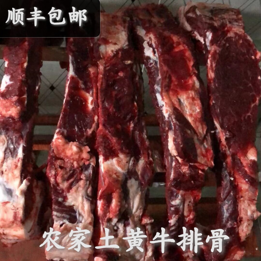 顺丰包邮新鲜土黄牛牛排骨4斤现杀现发高山放养吃草牛跑山牛肉好
