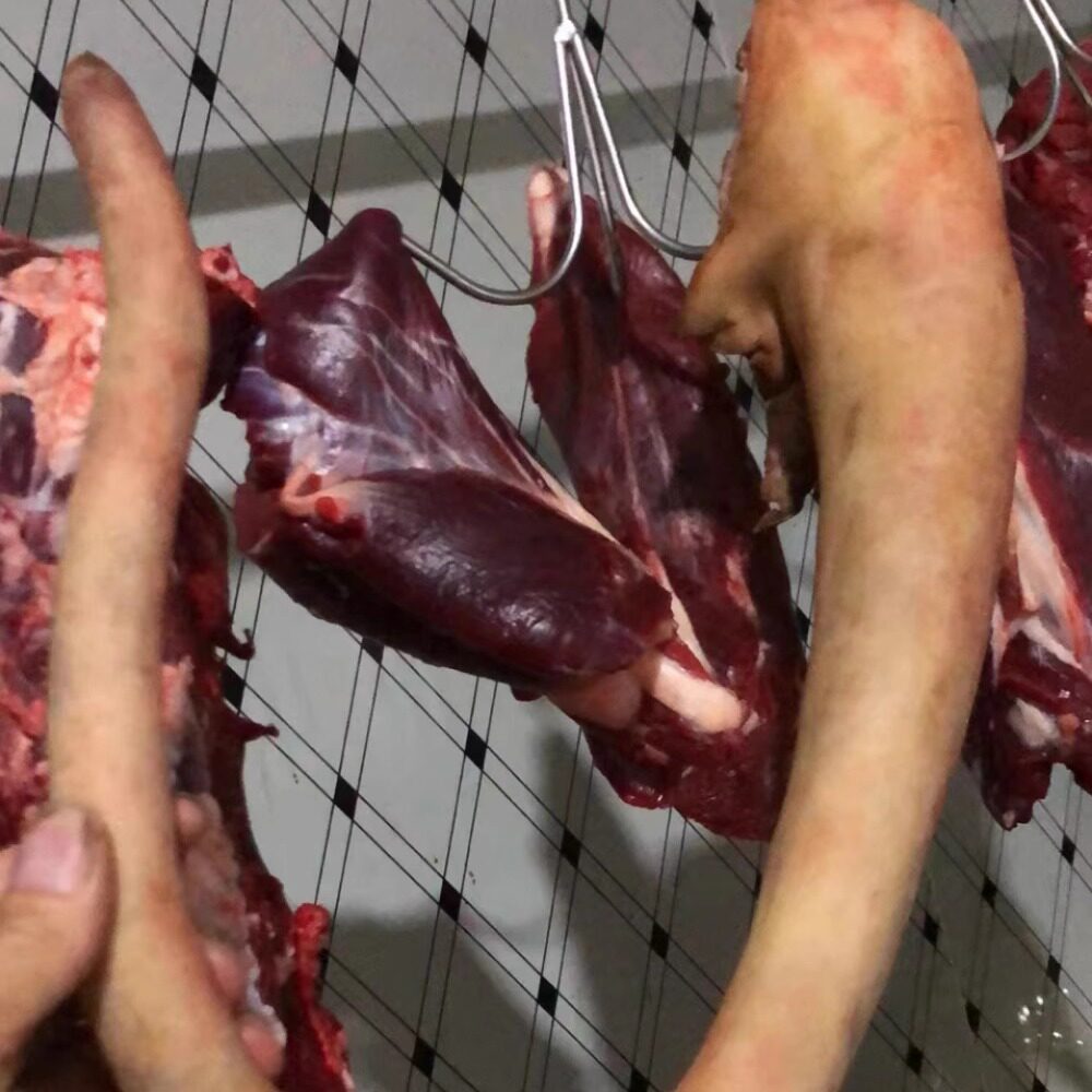 顺丰韶关现杀新鲜土黄牛尾巴牛皮8斤农家高山放养土黄牛吃草牛肉