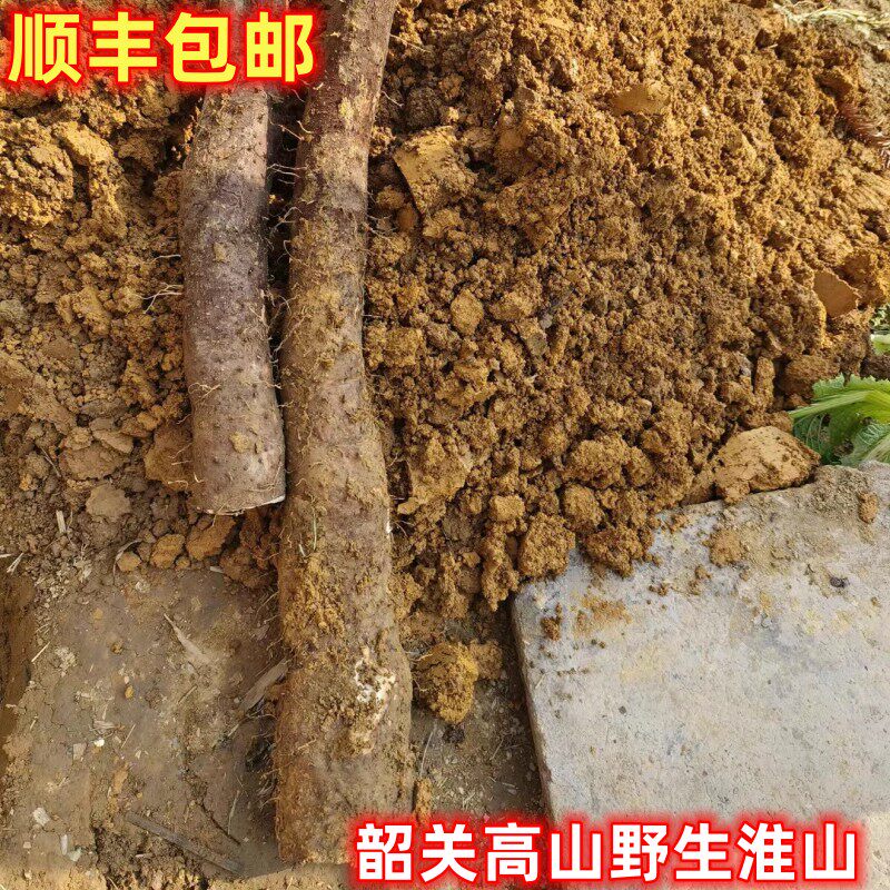 新鲜野生淮山煲汤养胃宝宝山药