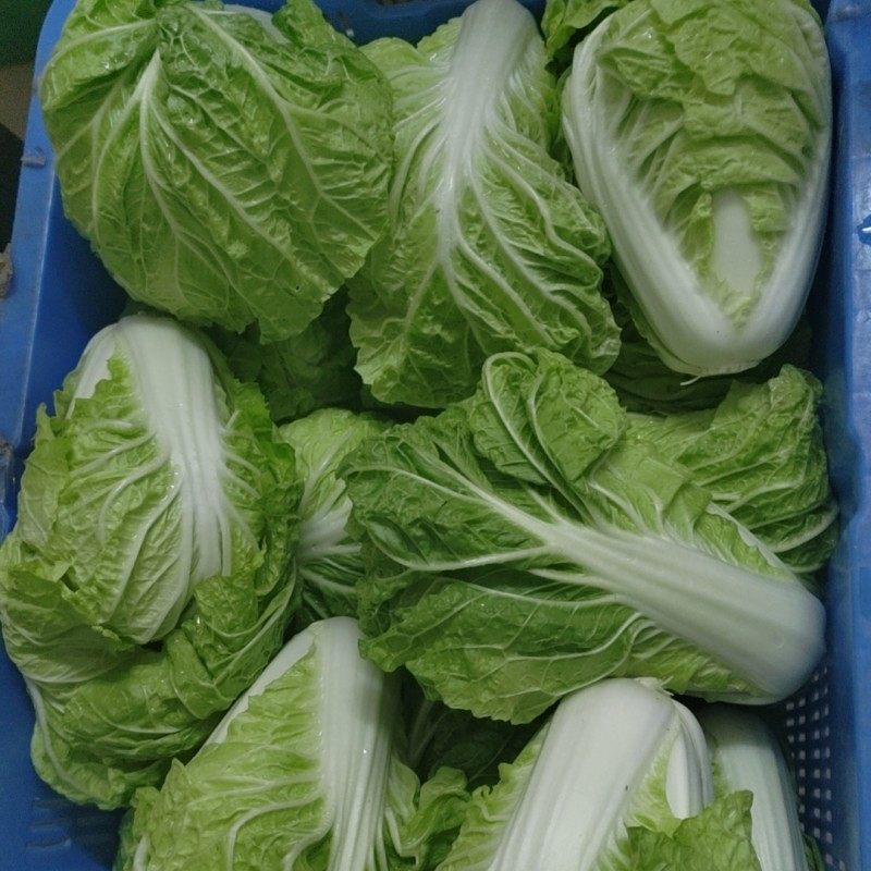 顺丰新鲜蔬菜应季蔬菜现摘韶关菜心花菜莴笋包菜黄叶白胡萝卜豆角