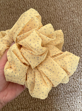 洋甘菊黄色碎花大肠圈女发圈发绳头饰高级感扎马尾头绳发饰女