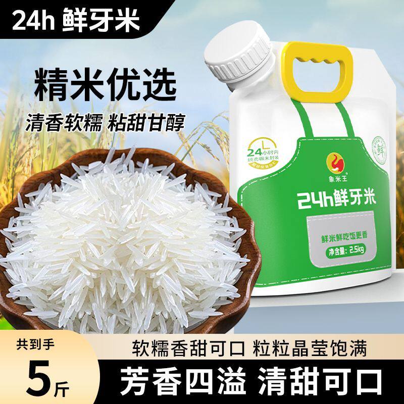 广西正宗猫牙米2025年晚稻新米24h鲜芽米长粒香大米细长款丝苗米