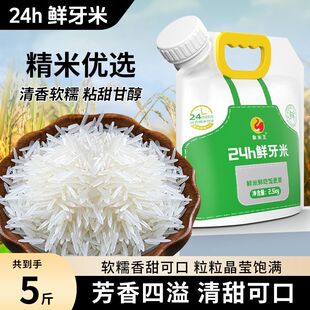 广西正宗猫牙米2025年晚稻新米24h鲜芽米长粒香大米细长款丝苗米