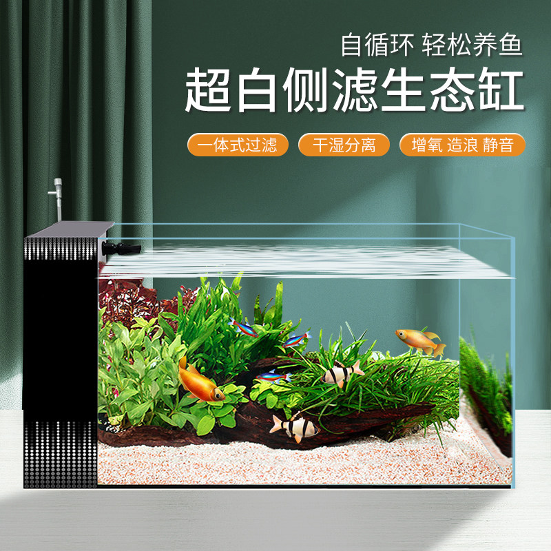 小型桌面测滤式生态鱼缸超白玻璃一体过滤制氧免换水懒人造景缸