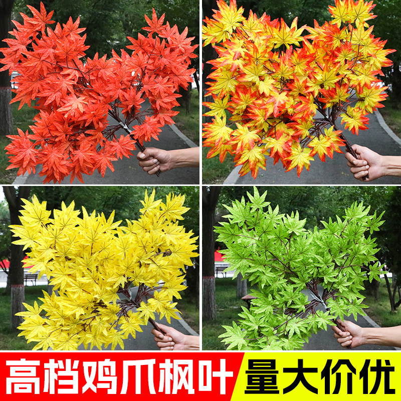 仿真鸡爪槭枫叶秋色红枫树枝装饰图片