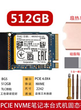 适用东芝铠侠BG5 128G 256G 512G 2230 固态硬盘戴尔笔记本台式机
